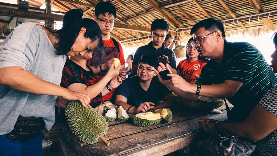 Durian Harvests - Musang King Durian Investments