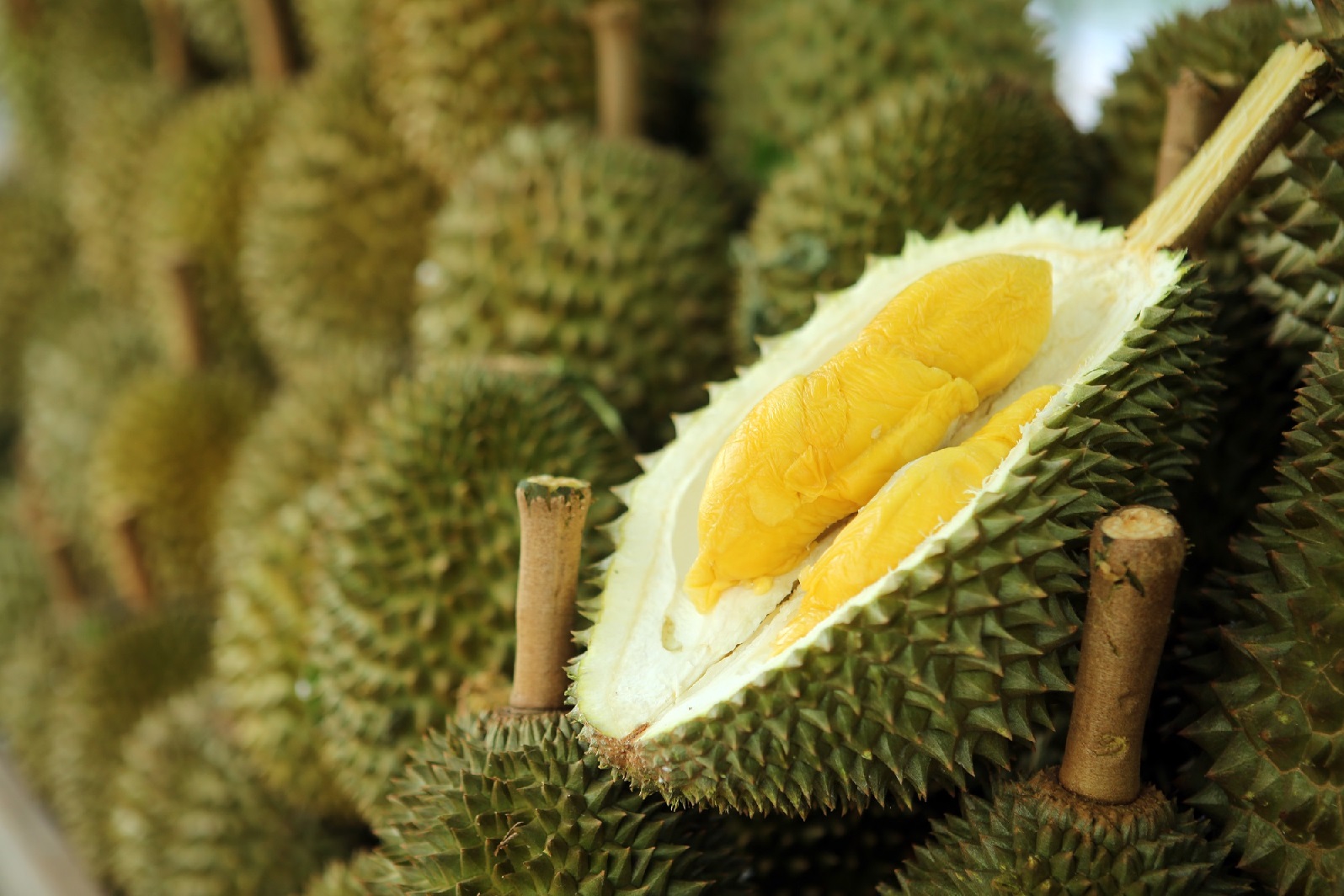 Musang king price per kg 2021