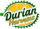 Durian Harvests – Musang King Durian Investments Logo